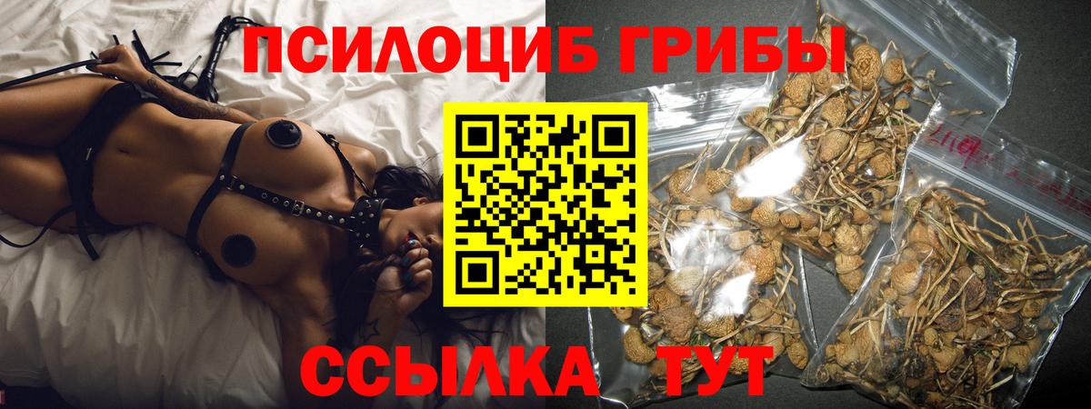 Псилоцибиновые грибы мухоморы Кыштым